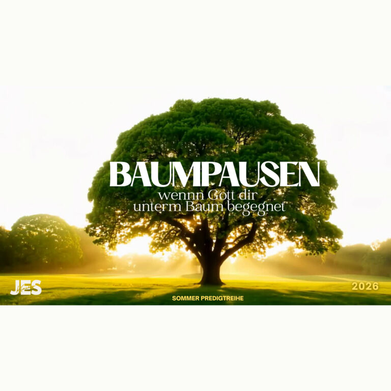 Baumpausen #3 | Daniel Gerasch